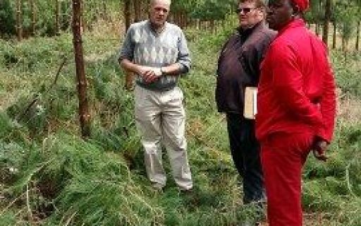 Auditing pruning operations