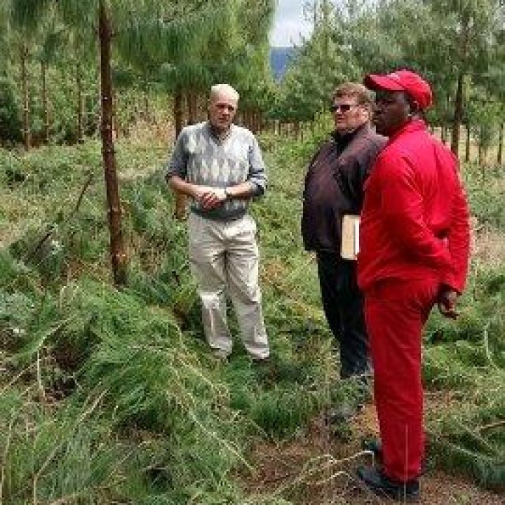 Auditing pruning operations