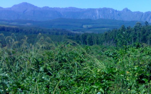 Consultants working in the Chimanimani district of Zimbabwe