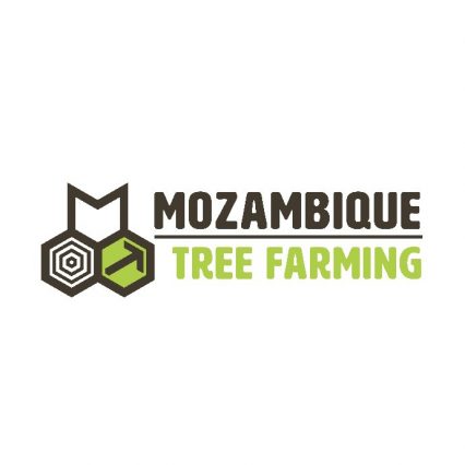 MOZAMBIQUE TREE FARMING