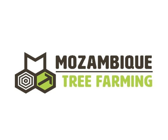 MOZAMBIQUE TREE FARMING