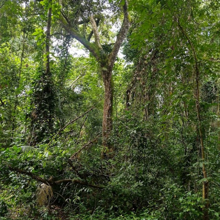 Restoration in Ghana