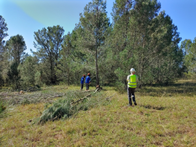 December 2022 News Update