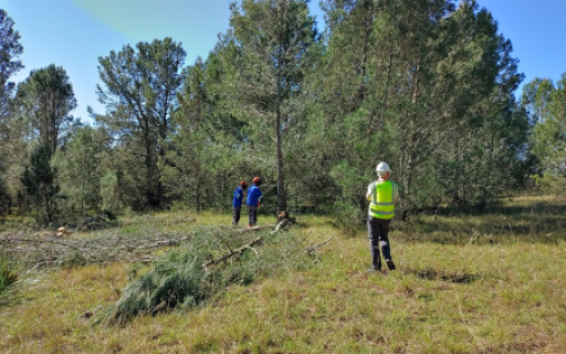 December 2022 News Update