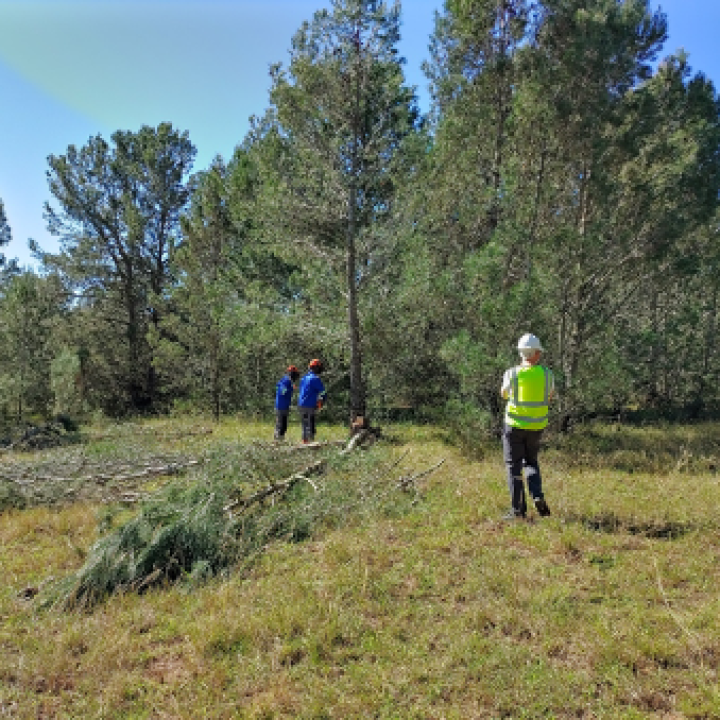 December 2022 News Update